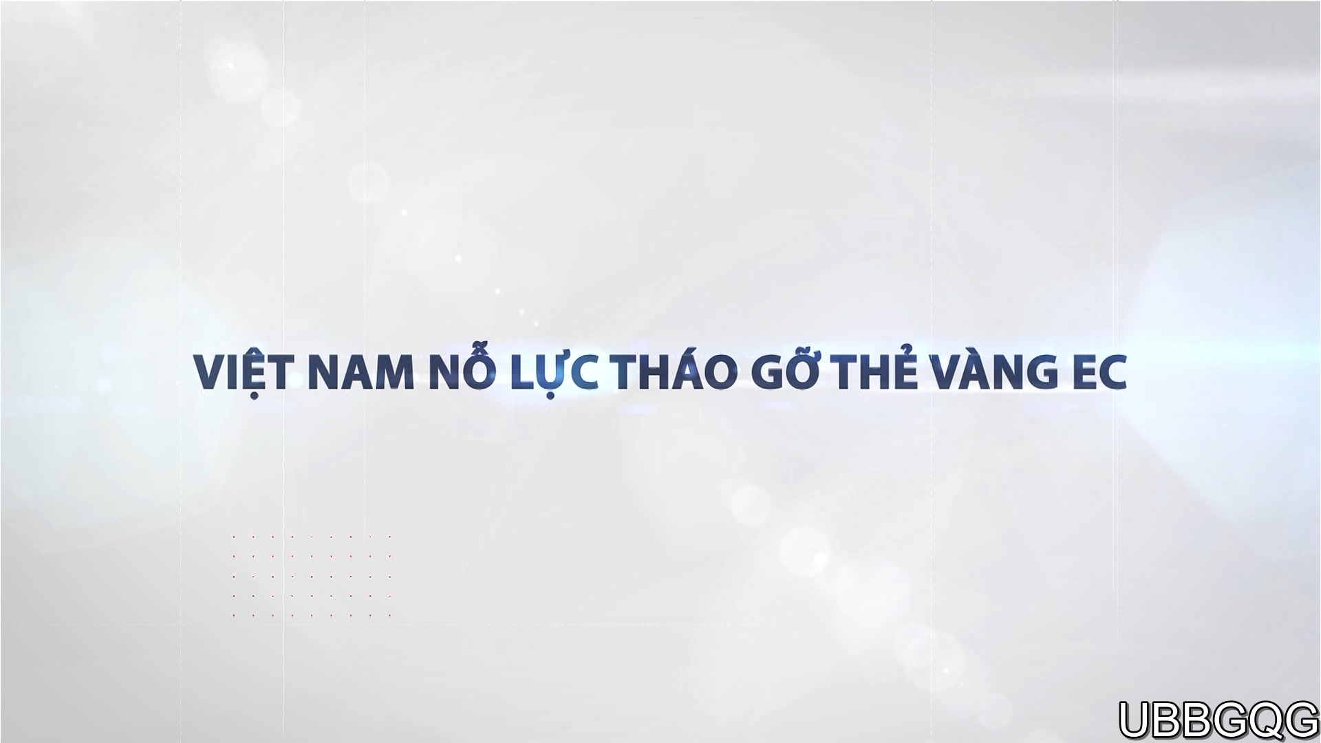 Việt Nam nỗ lực tháo gỡ thẻ vàng EC